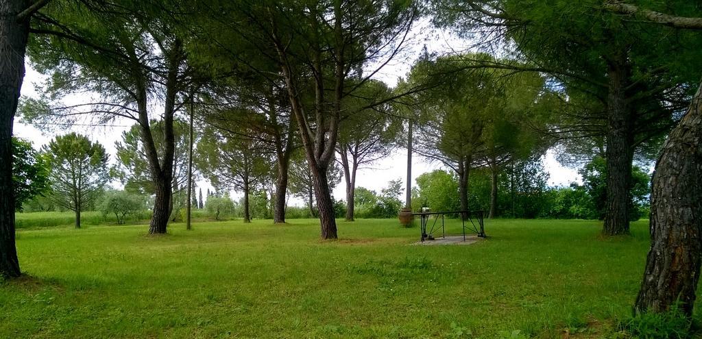 Agriturismo Podere Caggiolo - Swimming Pool & Air Conditioning Marciano della Chiana エクステリア 写真