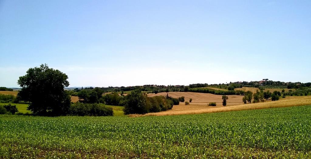 Agriturismo Podere Caggiolo - Swimming Pool & Air Conditioning Marciano della Chiana エクステリア 写真